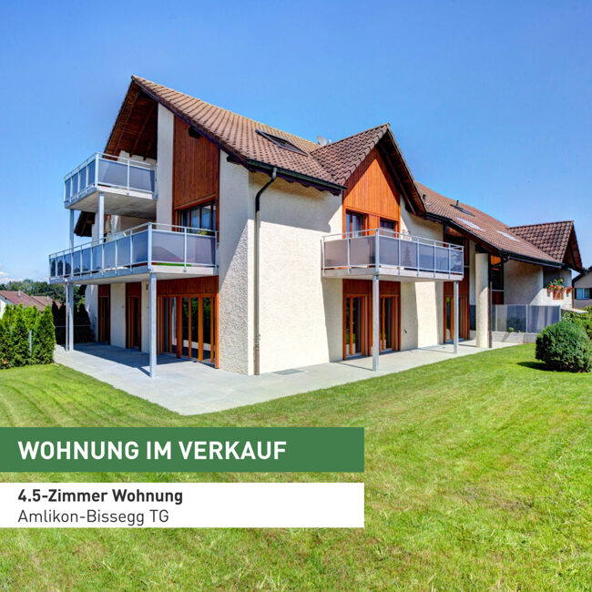 Modernes Wohnen in Amlikon-Bissegg (TG)