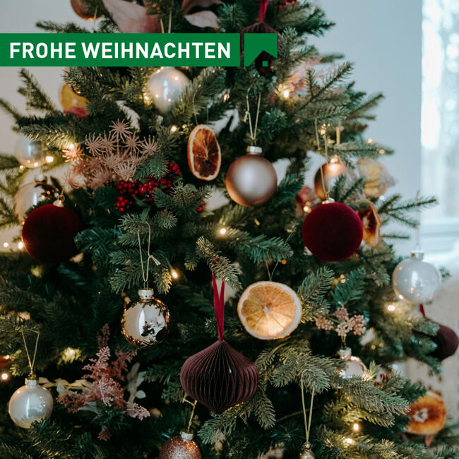 Frohe Weihnachten und einen guten Start ins neue Jahr